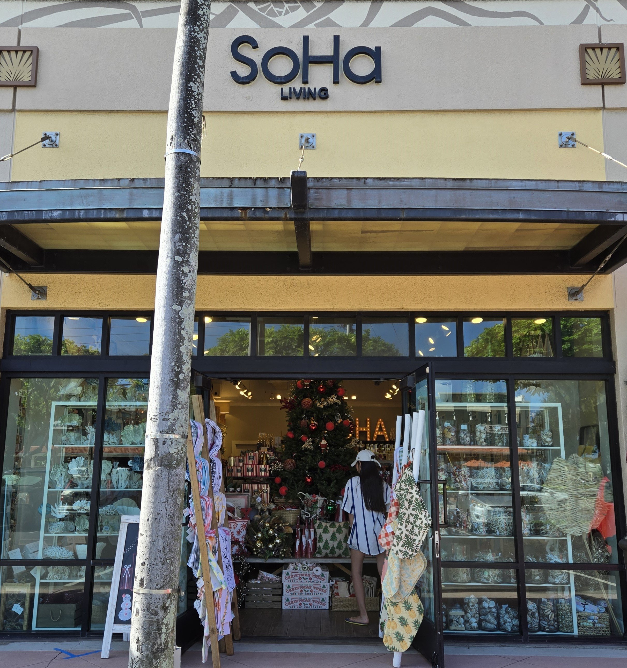 カイルアタウン | Explore and Book Now — Kailua Beach Adventures